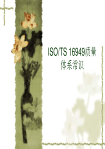 ISOTS、16949质量体系常识