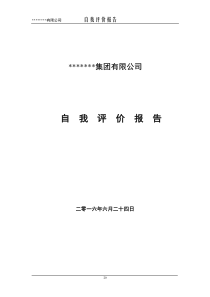 市长质量奖模板公司自我评价报告新