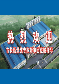 市长质量奖汇报材料