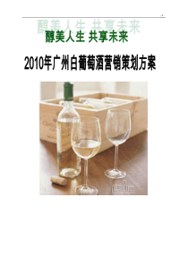 2010年广州白葡萄酒营销策划方案