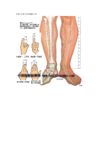 中医人体穴位图解大全