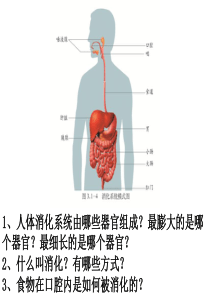 【济南版】2014-2015学年七年级生物下册：第3单元第1章第2节消化和吸收(2)