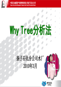 Whytree分析法