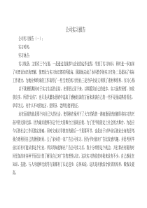 公司实习报告10篇