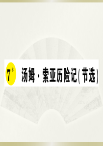 2020部编版小学语文六年级下册《汤姆·索亚历险记（节选）》预习课件