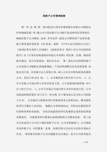 控股子公司管理制度