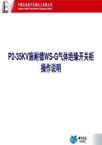 P2-35KV施耐德WS-G气体绝缘开关柜操作说明(蔡志敏)_160202025652007503