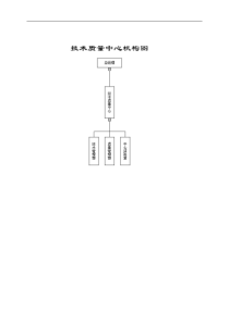 技术质量管理模式