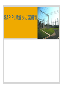 SAP PLM SolutionV for China-Net.ppt [Compatibility