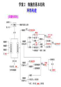 很好的高三生物二轮复习课件--专题一学案2细胞的基本结构