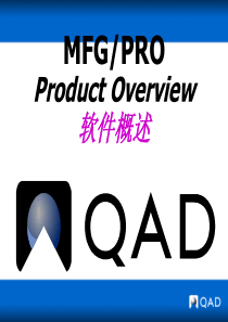 MFG PRO Product Overview 软件概述