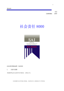 SA 8000 Standard - Chinese