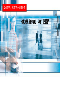 流程管理与ERP