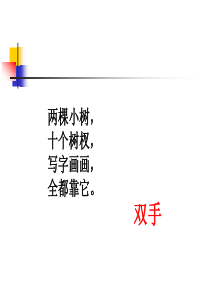 人教版小学语文二年级下册 13.动手做做看(1) ppt课件