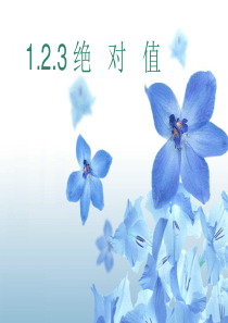 七年级数学上册 1.2.3绝对值课件 湘教版