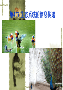 人教版教学教案云南省弥勒县庆来中学2011-2012学年生物必修3 生态系统的信息传递1(课件)