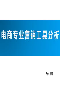 电商专业营销工具分析--百度文库