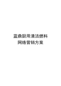 蓝鼎厨用清洁燃料网络营销方案