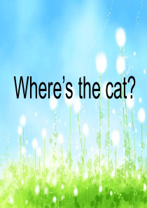 Wheres the cat？