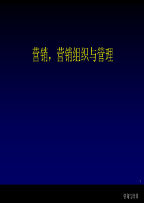 (2010版)新营销、新组织、新战略ppt