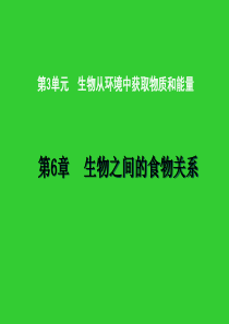 苏科版七年级上册(2012年秋)第三单元第六章第一节+食物链(共29张PPT)