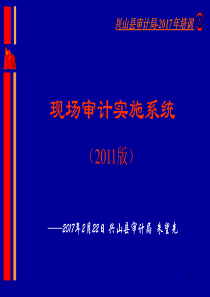 现场审计实施系统AO2011培训