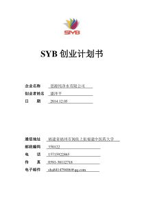 37SYB创业计划书