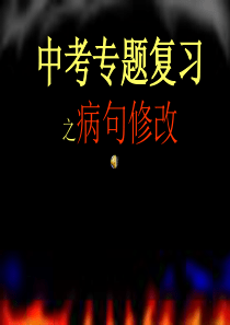 2010年中考语文专项训练病句修改