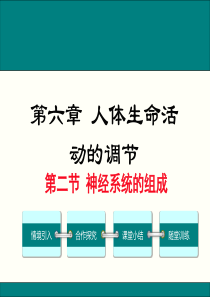 《学练优》2015-2016人教版生物七年级下课件 第六章  人体生命活动的调节 第二节  神经系统