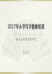 20172017年小学写字教师培训