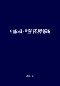 20110424-中信森林湖兰溪谷-下阶段营销策略-调整