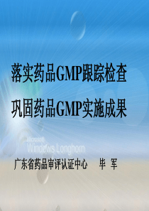 一、广东省药品生产企业GMP认证基本情况