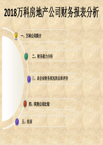 2018万科房地产公司财务报表分析