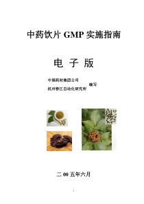 中药饮片gmp实施指南电子版