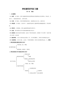 神经解剖学复习题