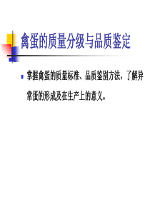 禽蛋的质量分级与品质鉴定（PPT41页)