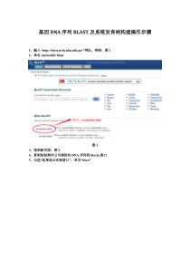 基因DNA序列BLAST及系统发育树构建操作步骤