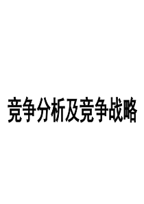 竞争分析及竞争战略