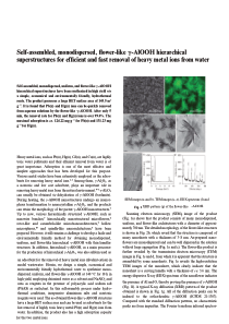 Self-assembled,-monodispersed,-flower-like-g-AlOOH