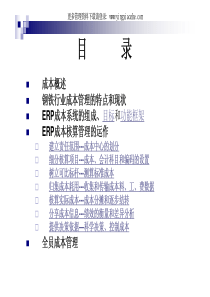 钢铁行业的成本核算与管理(PDF 34页)