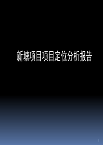 2011年广州新塘项目策划定位报告