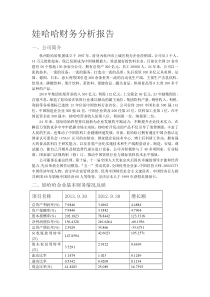 娃哈哈企业财务分析报告