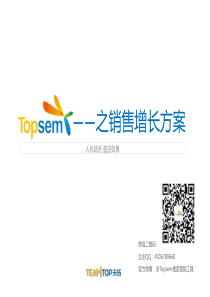 广告监测工具智能竞价topsem之销售增长方案