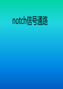 notch信号通路