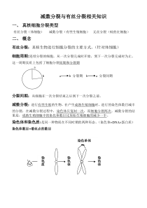 减数分裂与有丝分裂异同