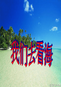 《我们去看海》