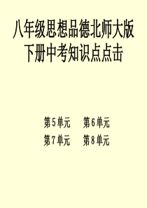 八年级思想品德北师大版下册中考知识点点击