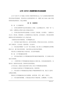 公司ISO9001质量管理体系实施细则(doc6)(1)