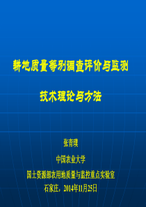 耕地质量等别调查评价与监测技术理论与方法