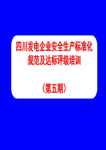 四川电力安全生产标准化工作全部